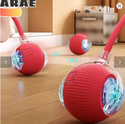 Rechargeable Smart Pet Interactive Toy