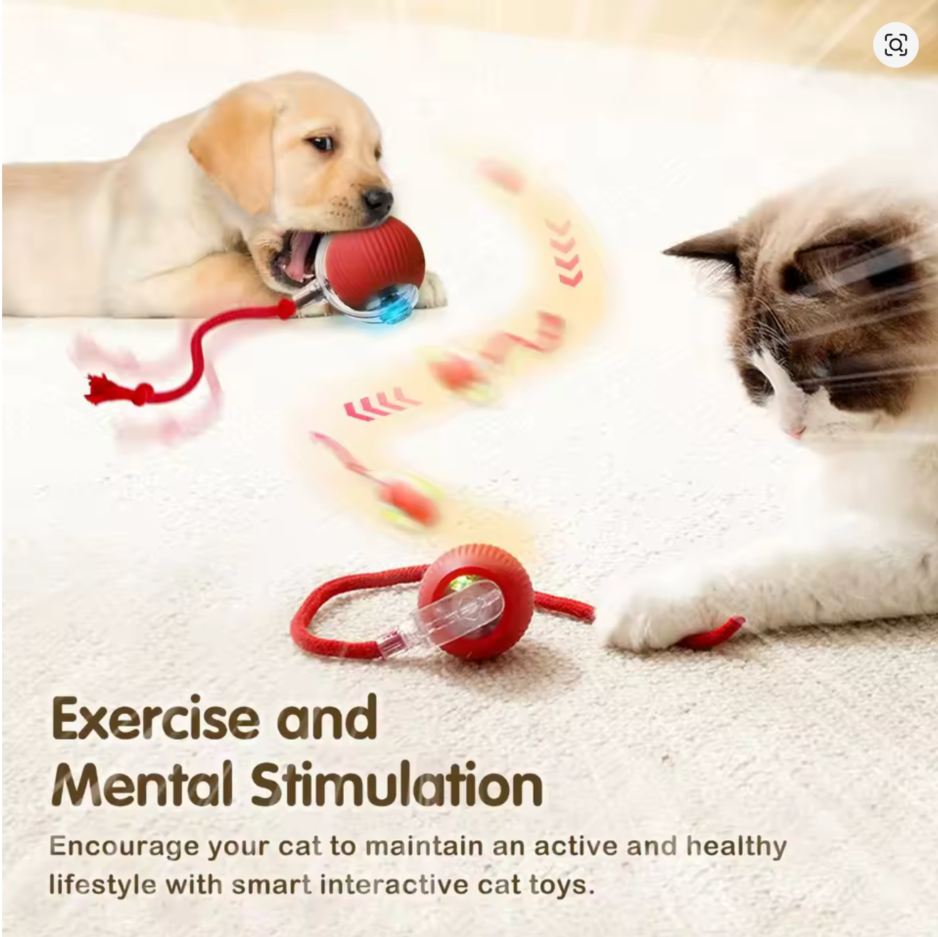 Rechargeable Smart Pet Interactive Toy