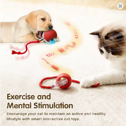Rechargeable Smart Pet Interactive Toy