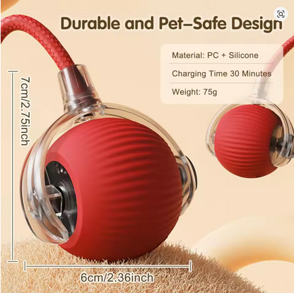 Rechargeable Smart Pet Interactive Toy