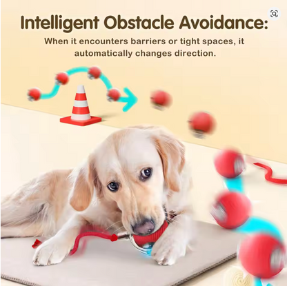Rechargeable Smart Pet Interactive Toy