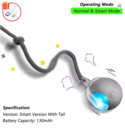 Rechargeable Smart Pet Interactive Toy