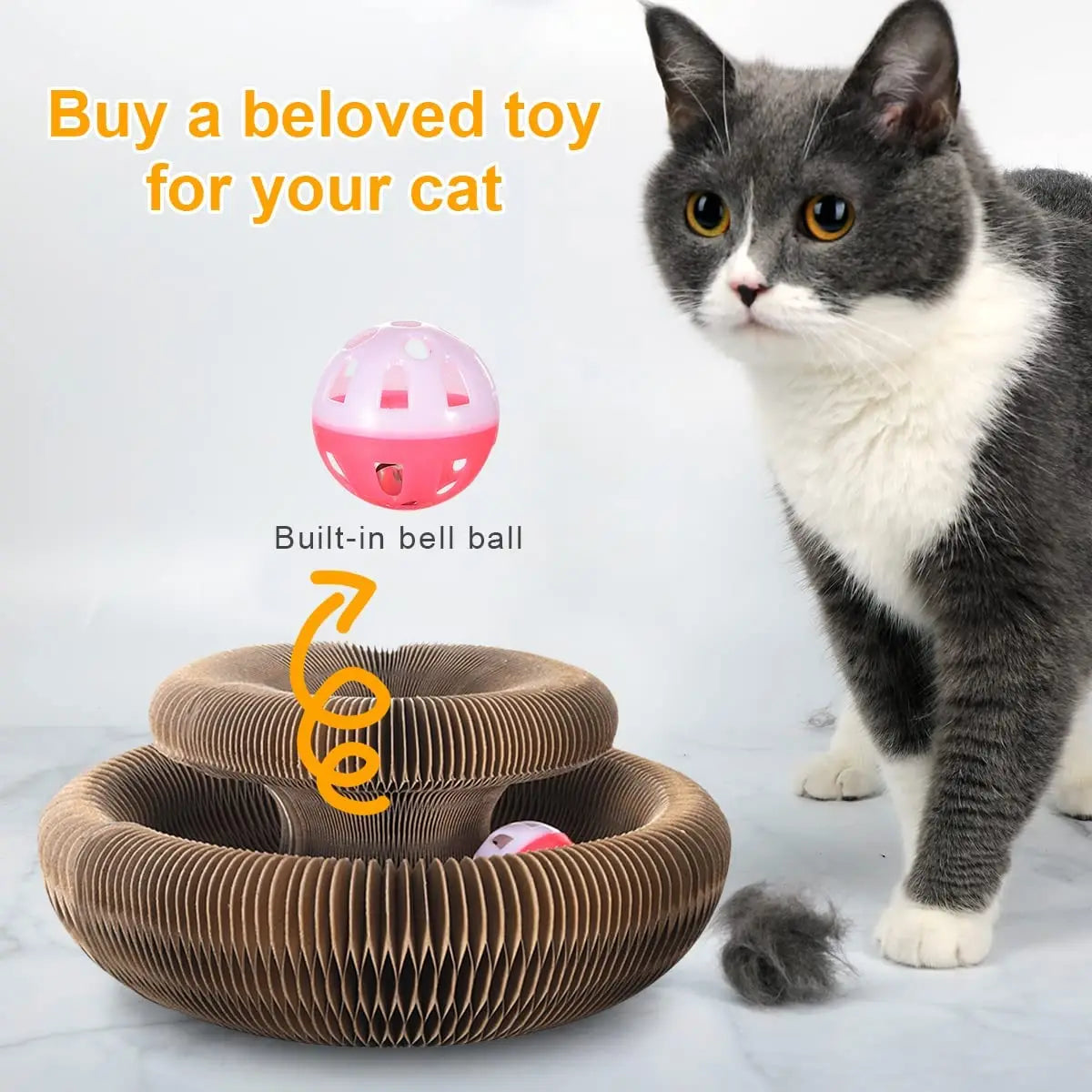 Magic Scratching Board – The Shape-Shifting Playground for Your Cat! 🐾