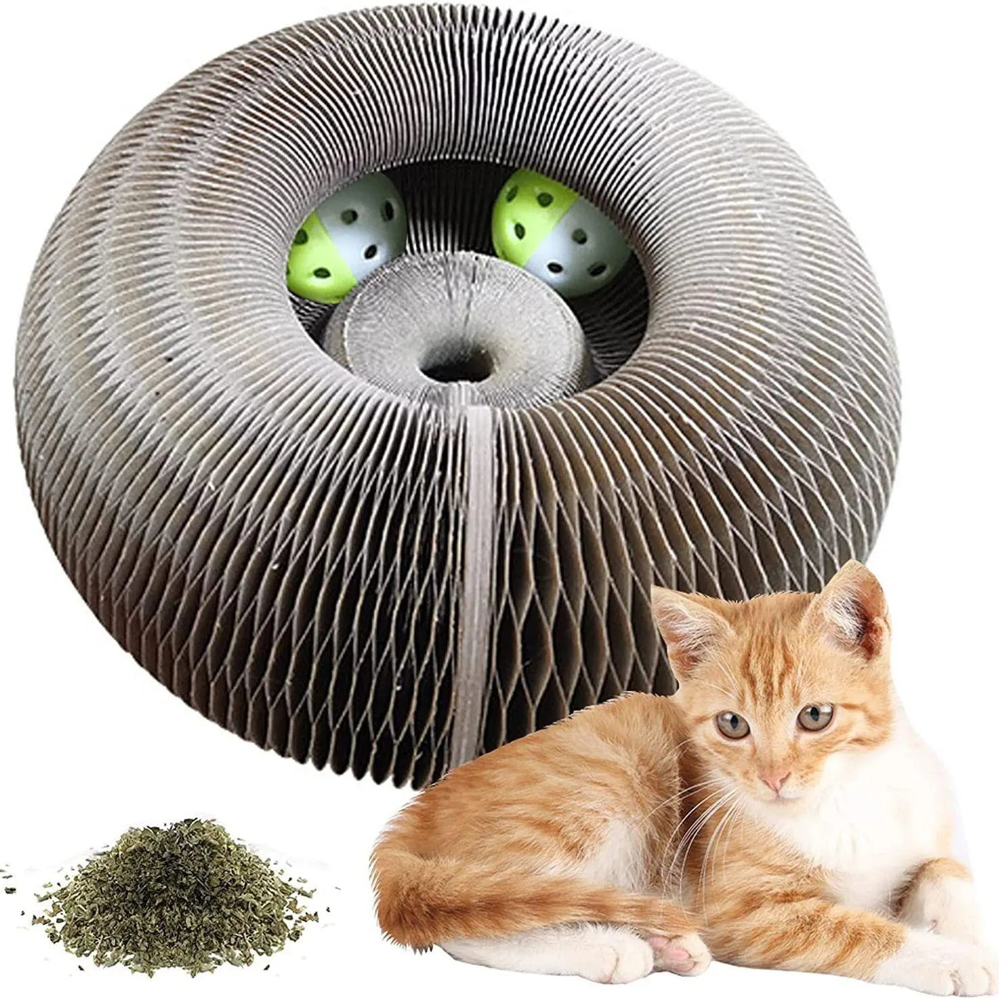 Magic Scratching Board – The Shape-Shifting Playground for Your Cat! 🐾