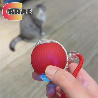 Rechargeable Smart Pet Interactive Toy
